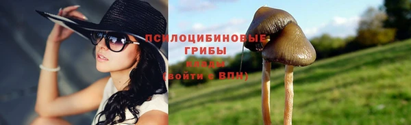 кокс Алзамай