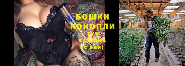сатива Армянск